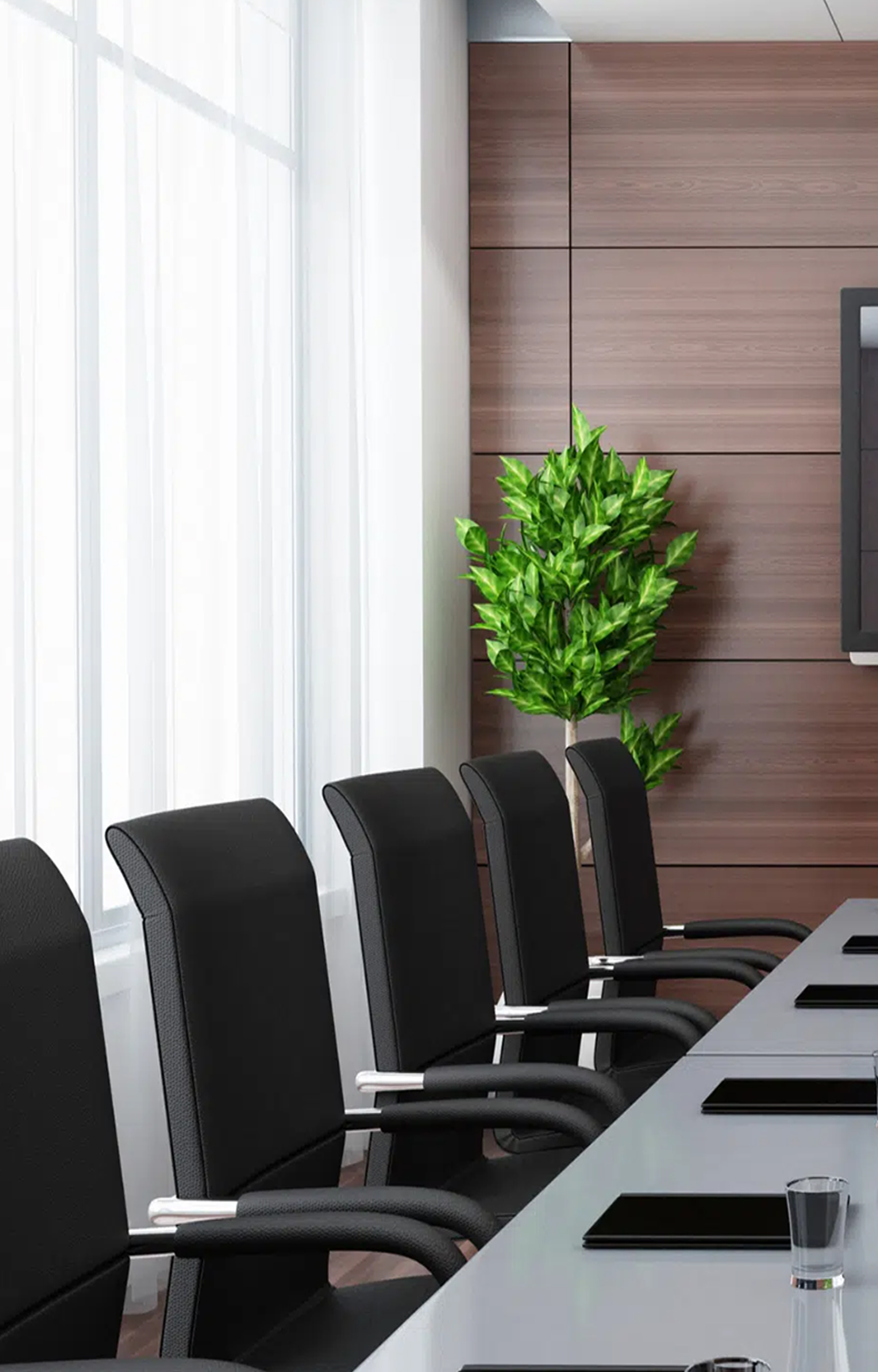 Cabinet Office